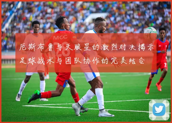 厄斯布鲁与天狼星的激烈对决揭示足球战术与团队协作的完美结合