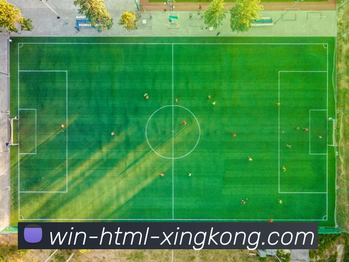 星空体育服务体系